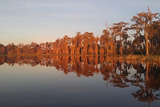 Tour image 11