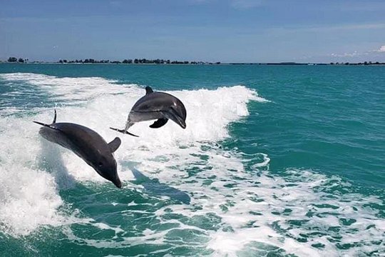 Tour image 6
